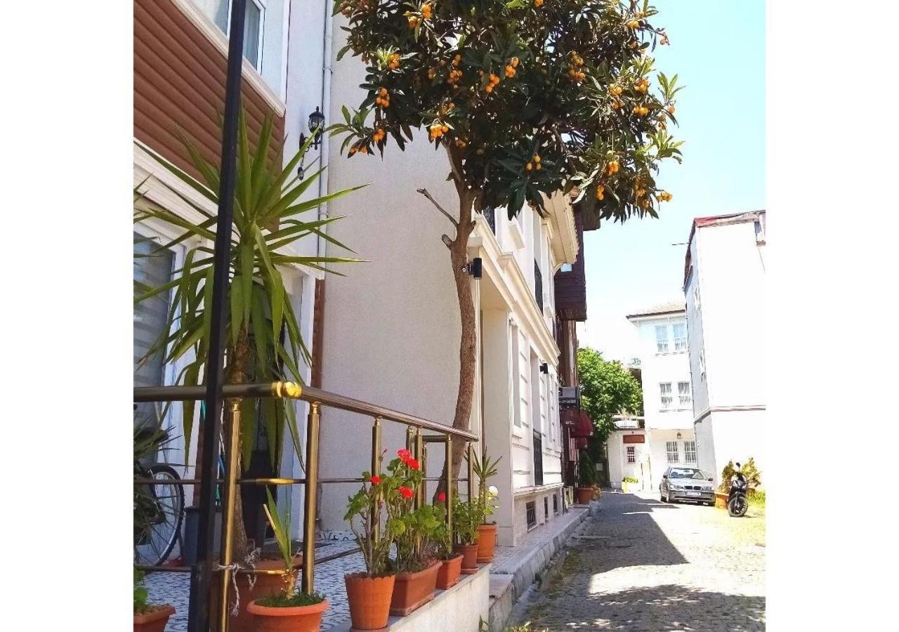 Sultanahmet Music House Ξενοδοχείο Κωνσταντινούπολη Εξωτερικό φωτογραφία